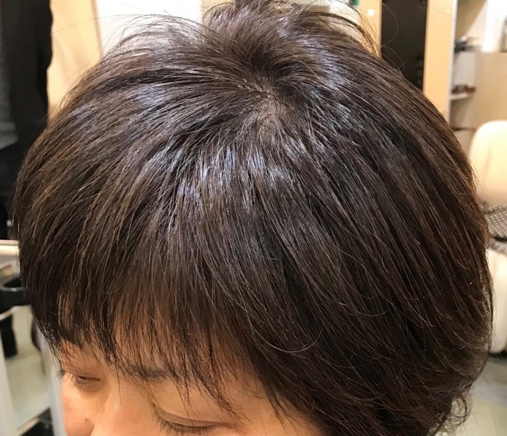 輝髪ザクロペインター | Hair&Make Shampoo 羽村・福生 美容室シャンプー